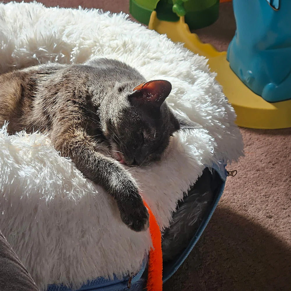 Cama Dona Para Gatos Cattasaurus™️