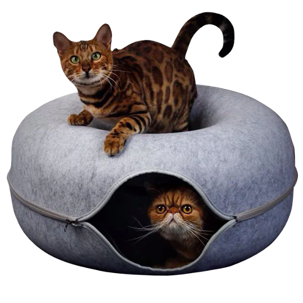 Cama Dona Para Gatos Cattasaurus™️