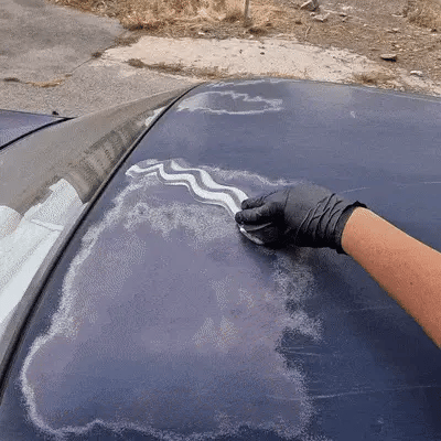 Porcelanizador en Cera Carnauba Líquida