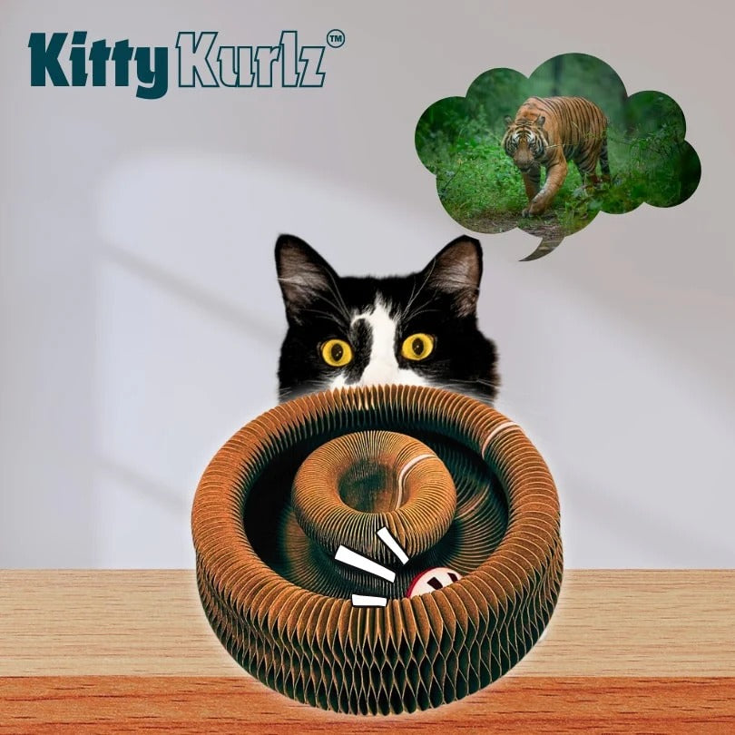 Rascador Para Gatos Mágico Juguete