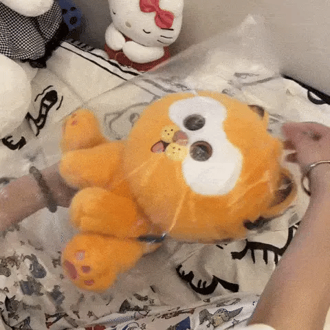 Mini Peluche Garfield