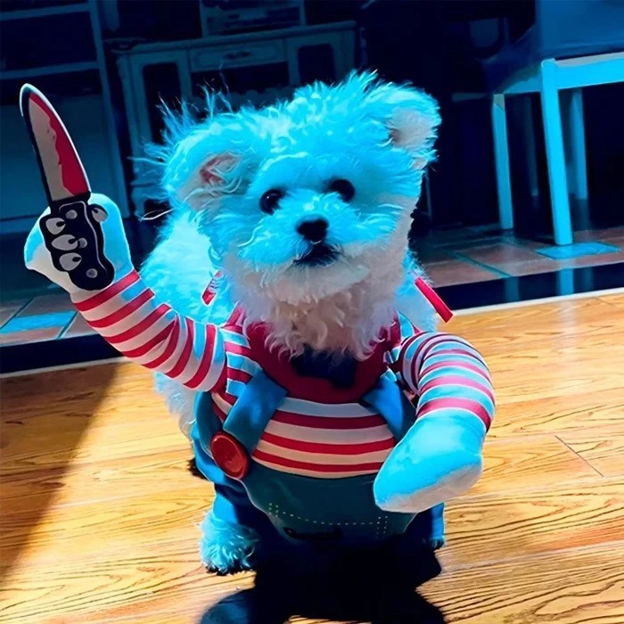 Disfraz Para Mascotas De Chucky