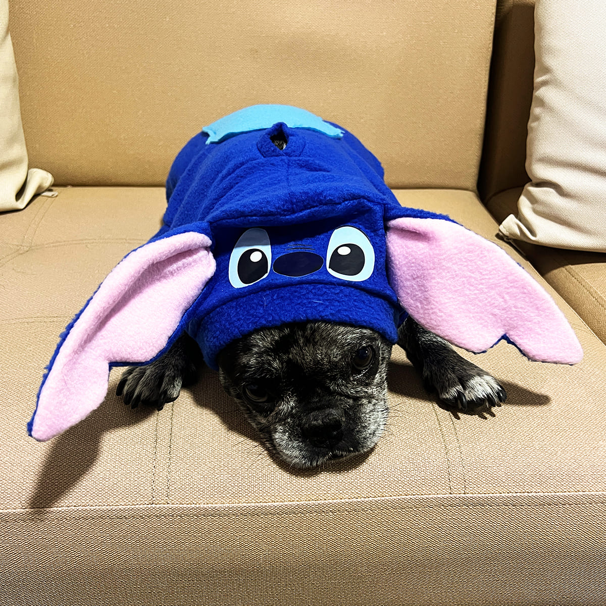 Disfraz Mascotas Stitch