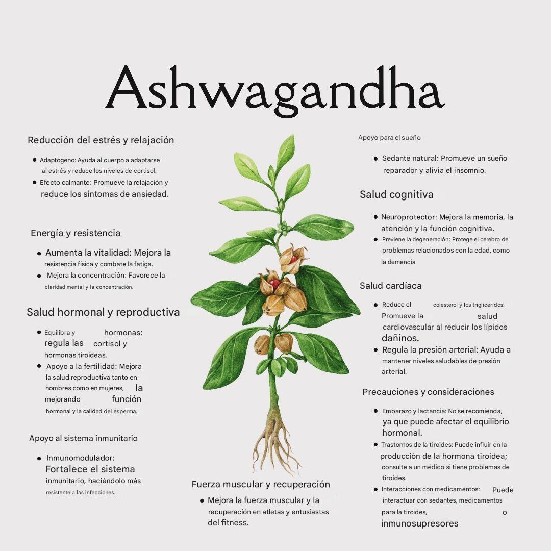 ASHWAGANDHA 5500mg