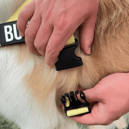 Arnés Para Perros Medianos y Grandes
