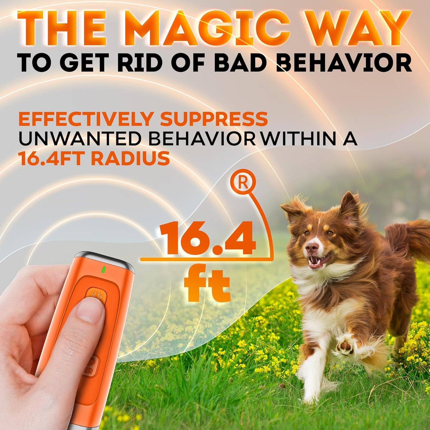 Entrenador Canino Ultra Sonico