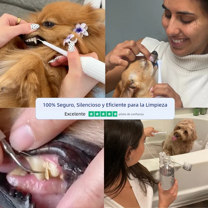 Cepillo Dental Removedor  De Sarro