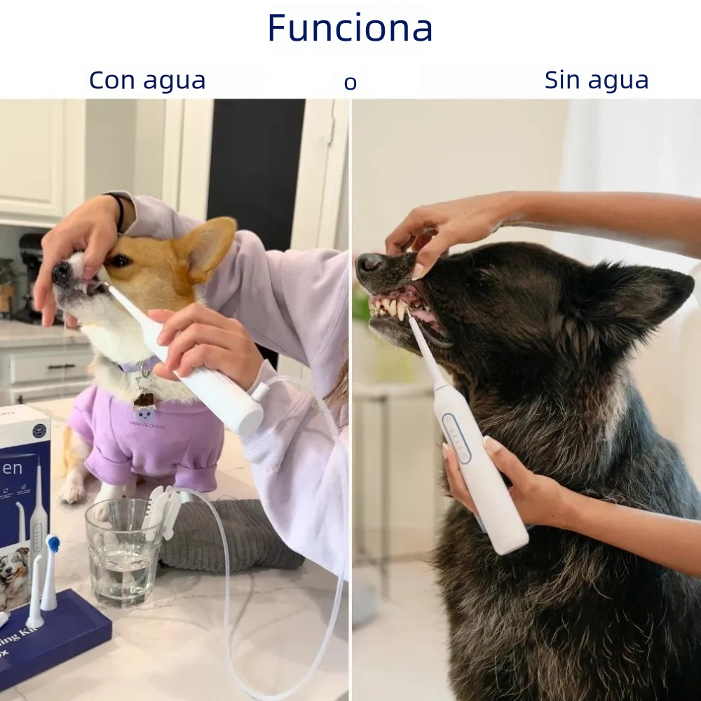 Cepillo Dental Removedor  De Sarro