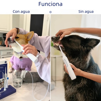 Cepillo Dental Removedor  De Sarro