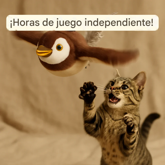 Pajaro volador para mascotas PreyFly