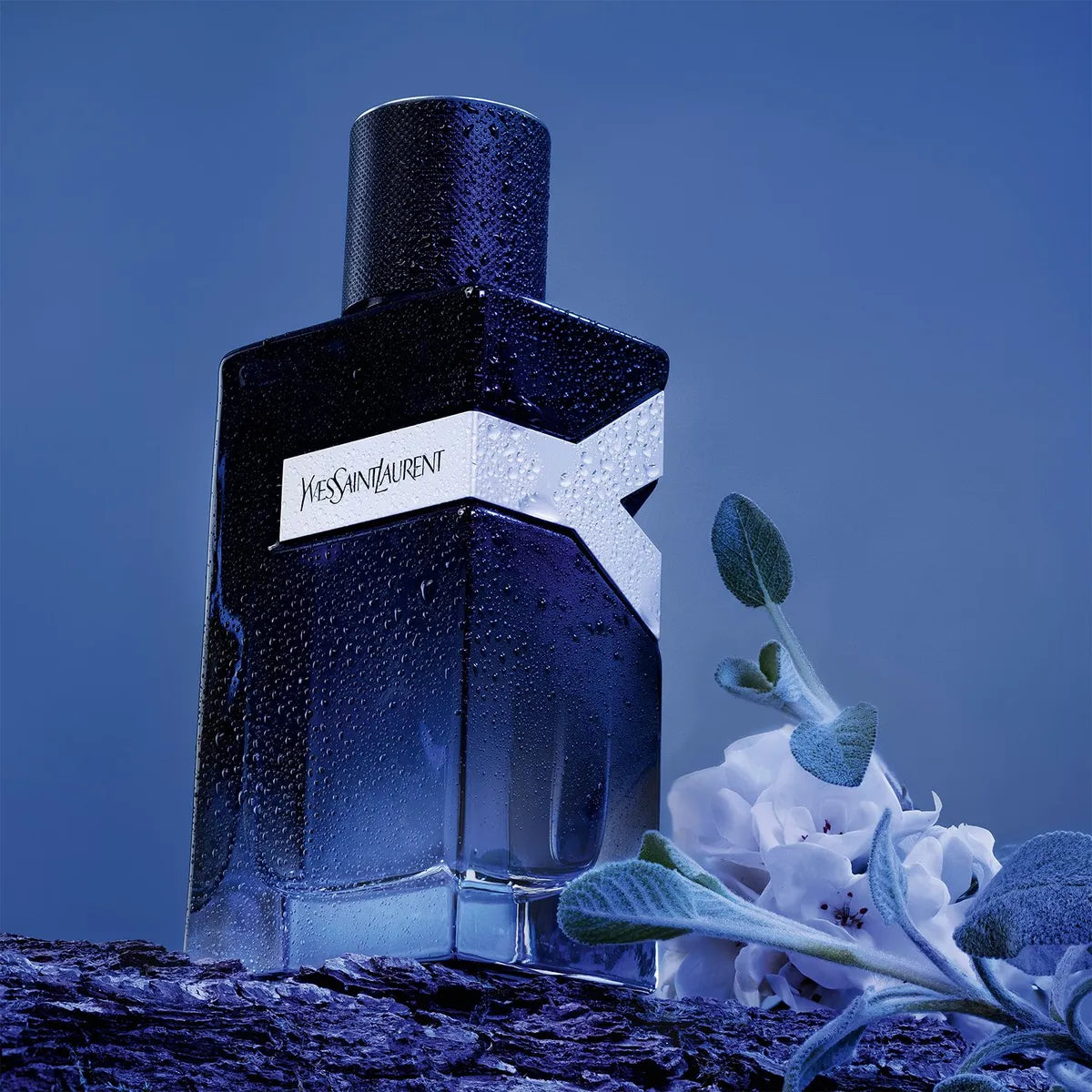 1PERFUME  YVES LAURENT