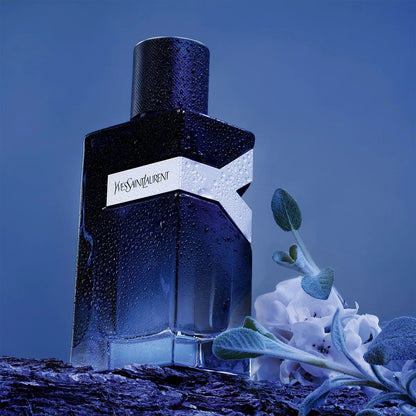 1PERFUME  YVES LAURENT
